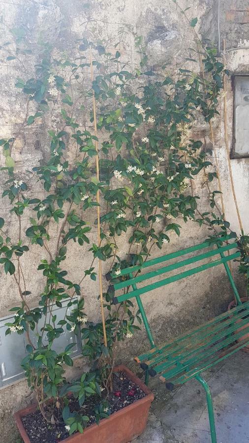 La Casetta Del Pellegrino Apartment Poggio Bustone Екстериор снимка